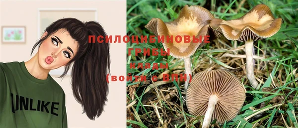 ешки Баксан