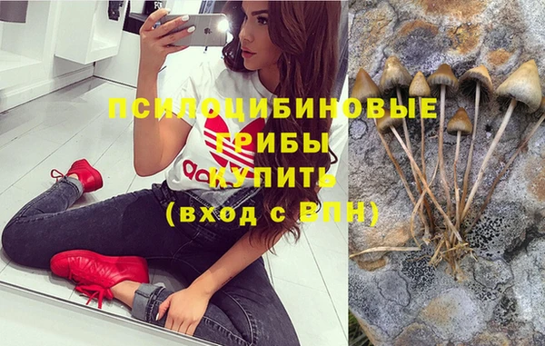 гидропоника Балахна