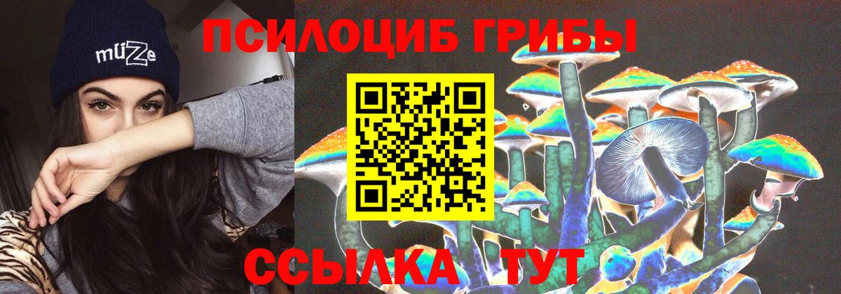 Галлюциногенные грибы GOLDEN TEACHER  Галлюциногенные грибы Magic Shrooms  Вход с VPN  Сочи 